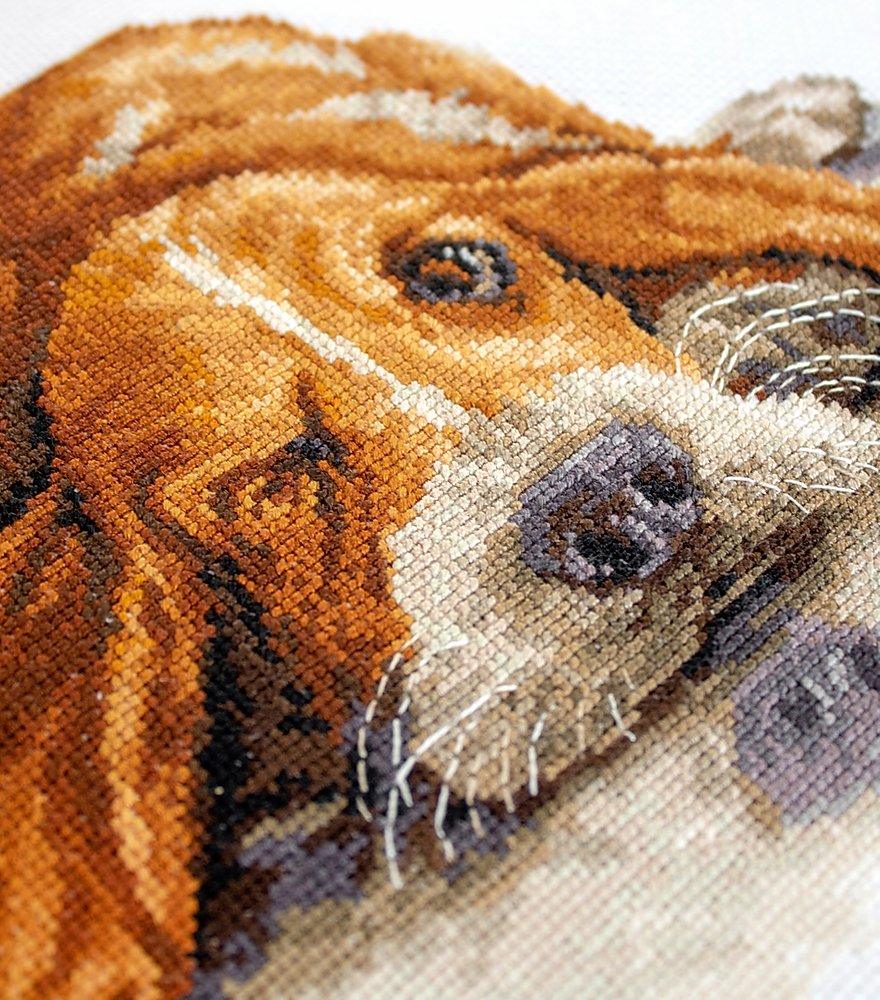 Cross Stitch Kit Luca - S - Basset, B2341 - Luca - S Yarns