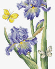 Cross Stitch Kit Luca - S Gold - May Iris, B7001 - Luca - S Yarns