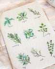 Cross Stitch kit Luca - S - Spices and Herbs, B2346 - Luca - S Yarns