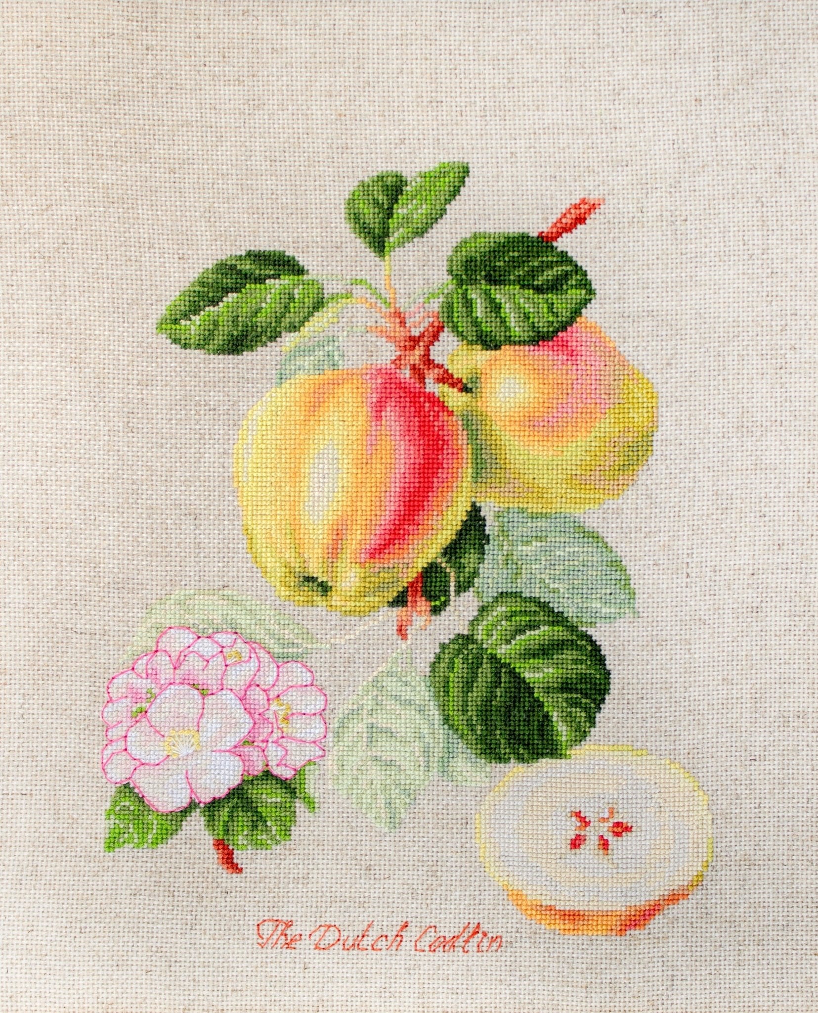 Cross Stitch Kit Luca - S - The Dutch Codlin BL22440 - Luca - S Yarns