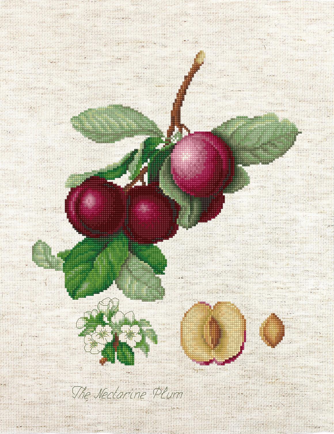 Cross Stitch Kit Luca - S - The Nectarine Plum, BA22480 - Luca - S Yarns