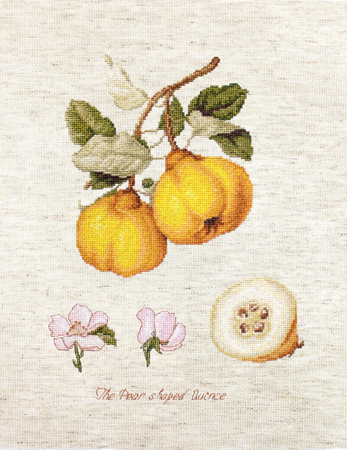 Cross Stitch Kit Luca - S - The Pear shaped Quince - Luca - S Yarns