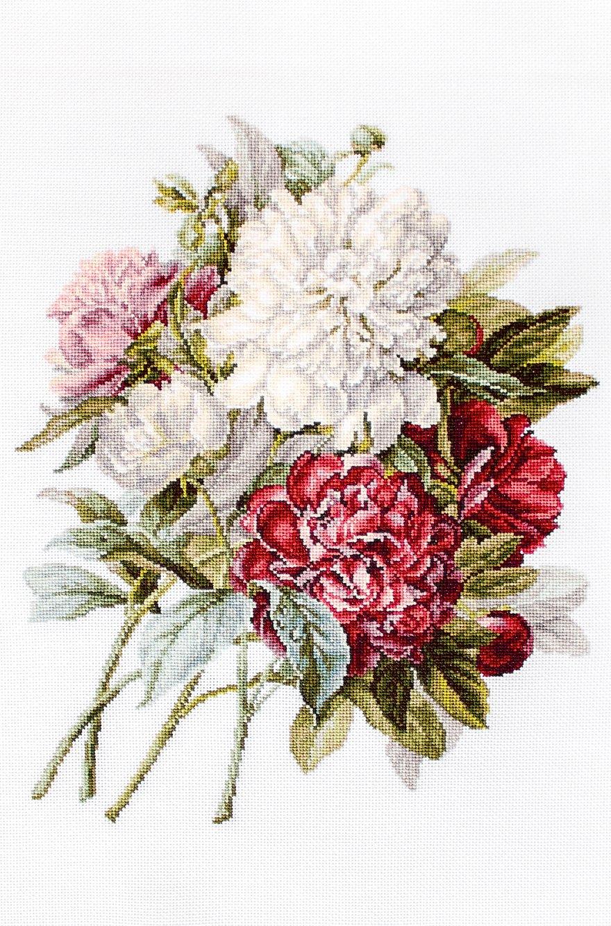 Cross Stitch Kit Luca - S - The Peonies, B2355 - Luca - S Yarns