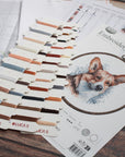 Cross Stitch Kit with Hoop Included Luca - S - BC212, Welsh Corgi - Luca - S Yarns