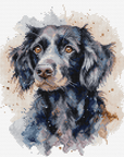 Cross Stitch Kit with Hoop Included Luca - S - BC213 The Border Collie - Luca - S Yarns