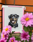 Cross Stitch Kit with Hoop Included Luca - S - Rottweiler, BC229 - Luca - S Yarns