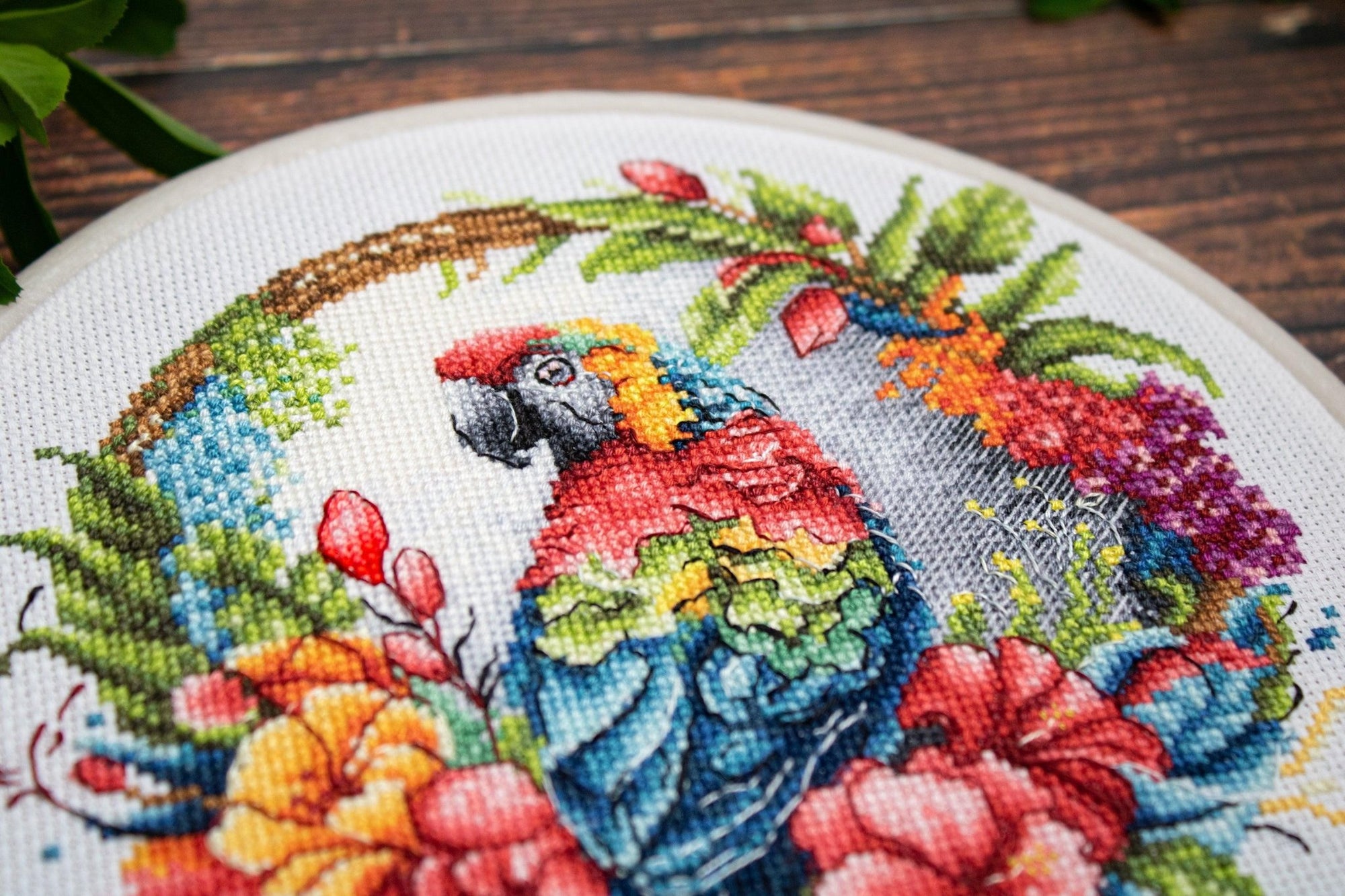 Cross Stitch Kit with Hoop Included Luca - S - The Tropical Parrot, BC201 - Luca - S Yarns