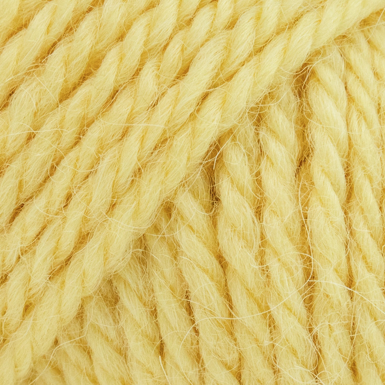 Luca - S ALPINO - Luca - S Yarns