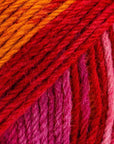 Luca - S WoolenWalk Merino Pack of 5 - Luca - S Yarns