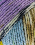 Luca - S WoolenWalk Merino Pack of 5 - Luca - S Yarns